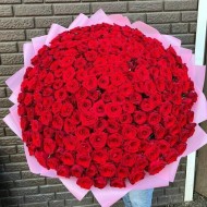 201 красная роза